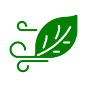 Natural Air Purification