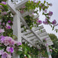 White pergola with purple flowers and green leaves