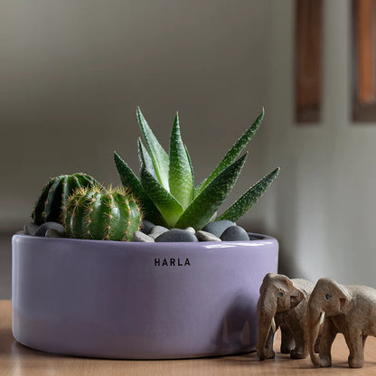Harla lilac stories - clearance sale