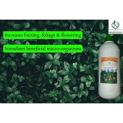 Panchagavya Miracle Organic Plant tonic - 1 litre