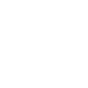 Curated Plants for Every Space