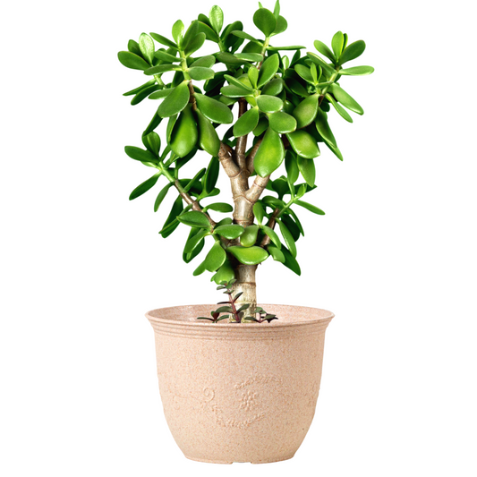leafy 8" sand castle