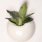 Harla Wall Hanging Solitaires white
