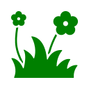 Green flowers grass