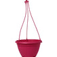 Bello 16 hanging planter with tray(Assorted colour) - Set of 3