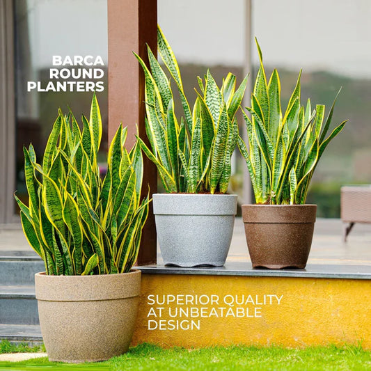 Barca round FRP Planter for outdoor (any colour)